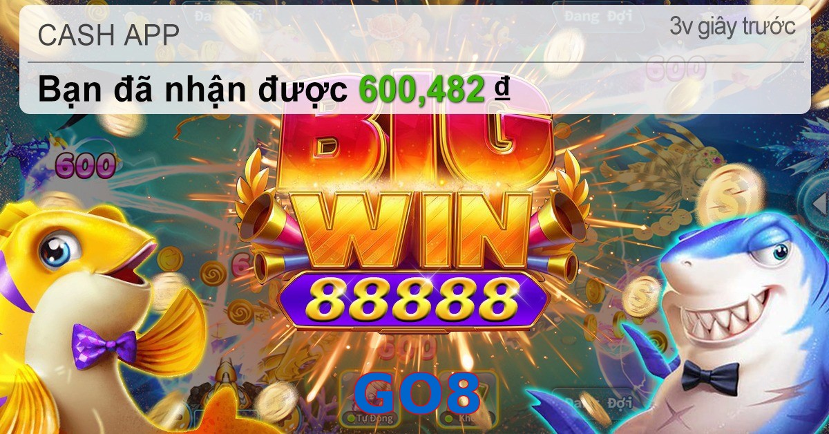 GO8